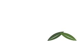 CaVi uliveti logo - olio extravergine di oliva 100% italiano